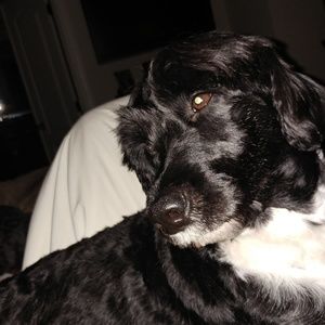 Meet your Posher, Joan